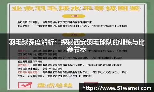 bsports登录入口