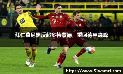 bsports官网入口