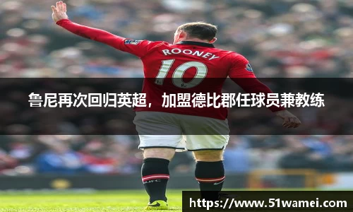 bsports官网入口
