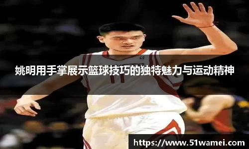 bsports登录入口