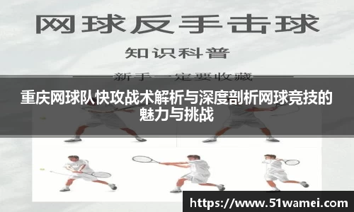 bsports登录入口