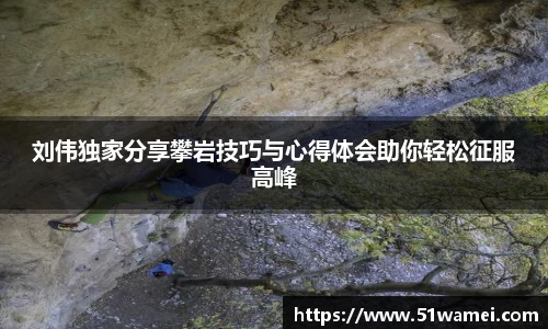 bsports登录入口