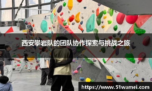 bsports官网入口