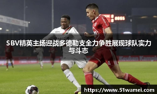 bsports登录入口