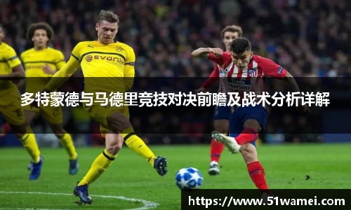 bsports官网入口